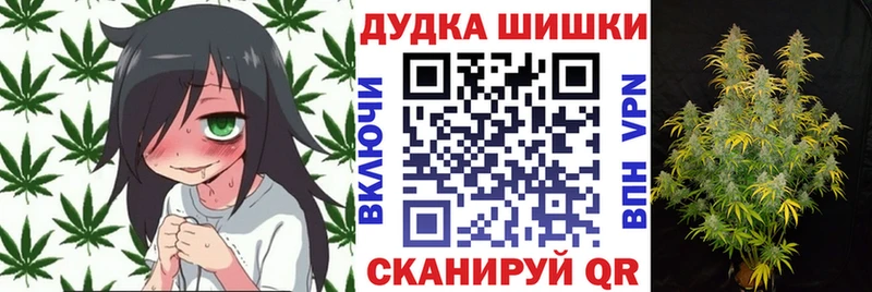 Виды наркоты Каменногорск Конопля A-PVP Псилоцибиновые грибы ГАШИШ