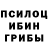 Галлюциногенные грибы Psilocybe 13.08.2021