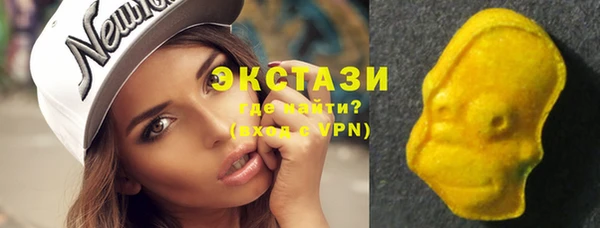 дживик Верхний Тагил
