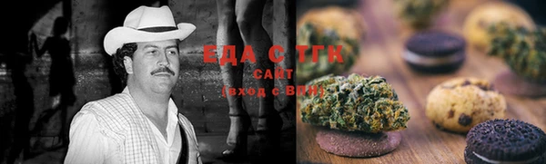 дживик Верхний Тагил