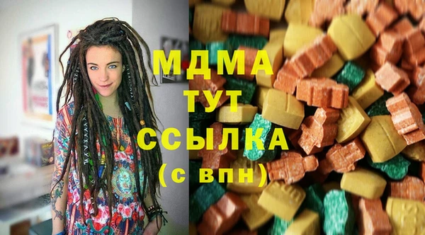 дживик Верхний Тагил
