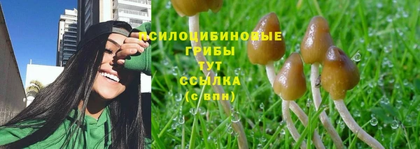 ешки Волоколамск