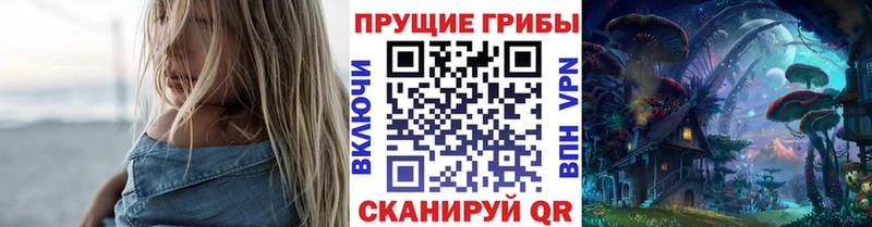 где купить наркоту  Каменногорск  Галлюциногенные грибы GOLDEN TEACHER 
